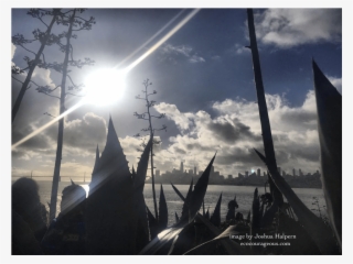 View Of San Francisco From Alcatraz Island / Image - Alcatraz Island