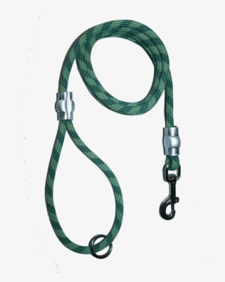 Next - Austin Pets Alive!