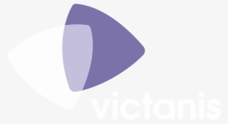 Victanis Cabinet De Conseil Strategie Croissance Internationale - Graphics