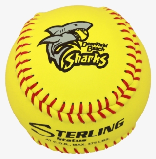 Speed Print Status Fastpitch Game Leather Softball - Baseball