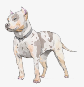 Pitbull Head Png
