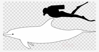 Bottlenose Dolphin Size Clipart Common Bottlenose Dolphin - Transparent Background Speech Bubble