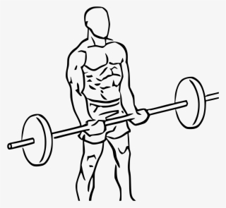 Open - Barbell Curl Icon