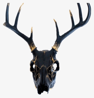01 - Deer Skull Painted Black