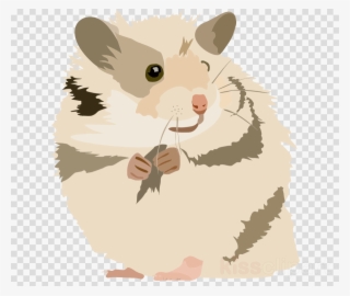 Hamster Kawaii Ttransparant Clipart Golden Hamster