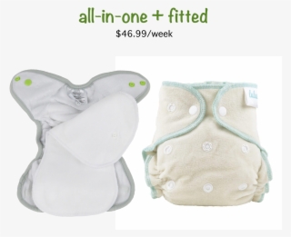 All In One And Fitted Cloth Diaper Service