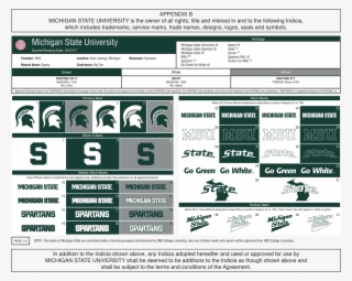White, And Silver - Michigan State Spartans