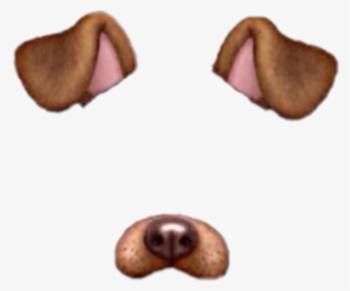 Snapchat Dog Filter Png Filter Snapchat Dog - Snapchat Dog Filter Png