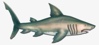 Fish 18 - Pirates Of The Caribbean Shark