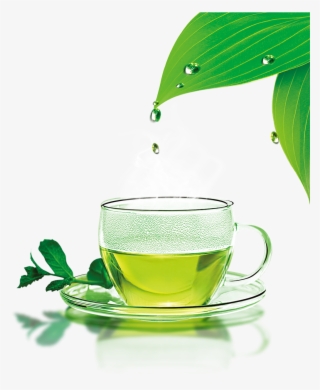 Green Tea Png Download Image - Youlanda Tea Infuser, Stainless Steel Tea Strainer