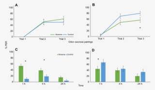Honey Bee Olfactory Learning And Memory In 7 And 15 - Nosemosis