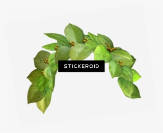 Snapchat Filter Green Crown - Snapchat Photo Filter Transparent Background