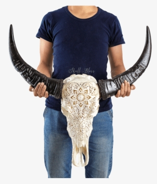 Carved Buffalo Skull - Mandala