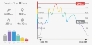 There Are Five Different Zones You Can Train In, With - Diagram