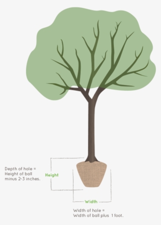 Illustration Of A Tree Planter - Illustration
