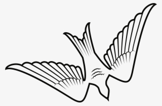Big Image - Dove Vector
