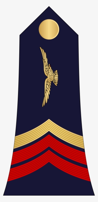 Open - Red-tailed Hawk