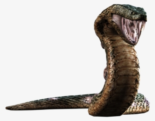 Resident Evil Snake Png - Resident Evil The Umbrella Chronicles Yawn