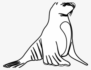 Otter Clipart Vintage - Sea Lion Black And White