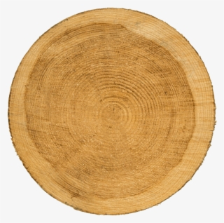Wood Wheel - Lumber