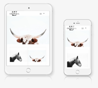 Grand Rapids Wordpress Website Design And Development - Curlyhost Llc