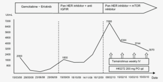 Tumor Marker Evolution During Therapy - Diagram
