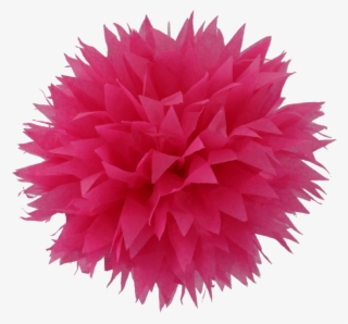 Red Pom Poms Png Pluspng - Pompon Papier De Soie Fleur Fuchsia