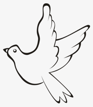 Bird In Flight 3 - Clip Art