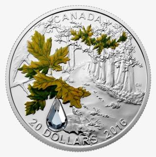 Jewel Of The Rain - Coin
