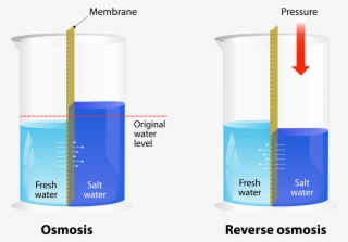 Reverse Osmosis System - Engineering Chemistry: Rare Topics [book]