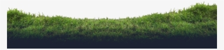 Constanza-bg - Lawn