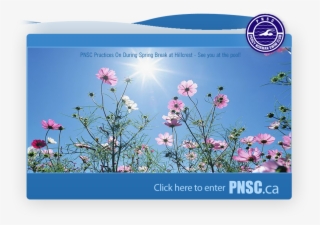 Spring-break - Sunrise Good Morning New