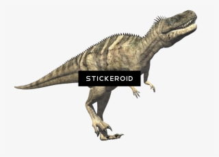 T Rex Pic Animals Dinosaur Reptile - Carnivores Dinosaur