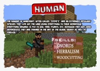 Leaders - Minecraft Ocelot