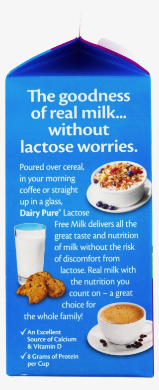 Dairy Pure 100% Lactose Free Milk - 64 Fl Oz Carton