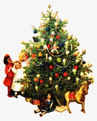 Tubes Gifs Sapins De Noël - Christmas Tree C1890 Poster Print By Unknown (24 X