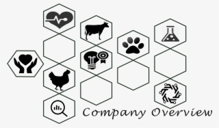 Every Living Thing And Human Wants A Good Health For - Vervain