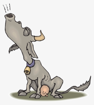 Fatcow Troubles Installilng Wordpress - Ululate Definition