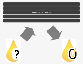 Database