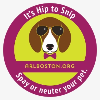 Spay Neuter Dog - Dog