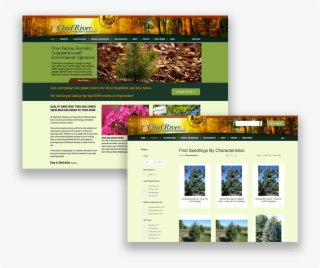 Tree & Shrub Finder Capability - Botanical Garden
