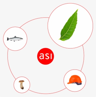 You Get Real Results - Illustration