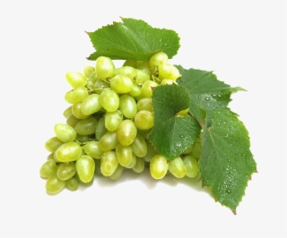 Grapes Png Image Transparent Background - Grapes Images Hd Download