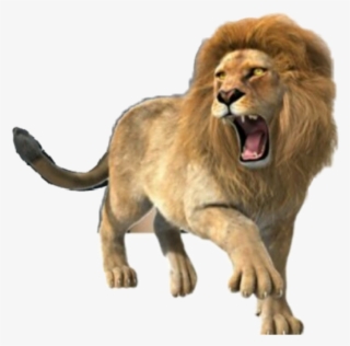 Lion Roar Roaringlion Animals Strength Power Tribeofjud