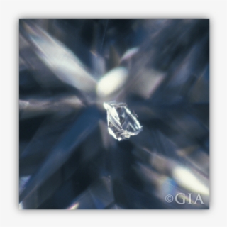 Diamond Knot Magnified - Diamond Inclusions