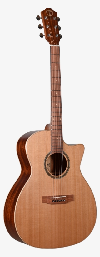 Sta105cent Pau Ferro - Teton Guitars