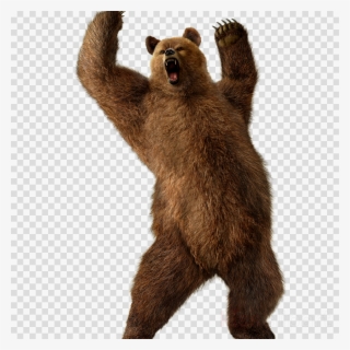 Download Grizzly Bear Transparent Png Clipart Grizzly - Red Ball Transparent Background