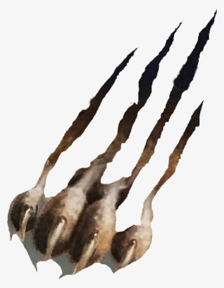 Athletics Cougar Claw - Cougar