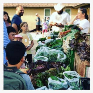 Students - Cauliflower
