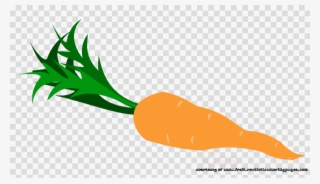 Illustration Clipart Carrot Clip Art - Pink Flamingos Clip Art Free